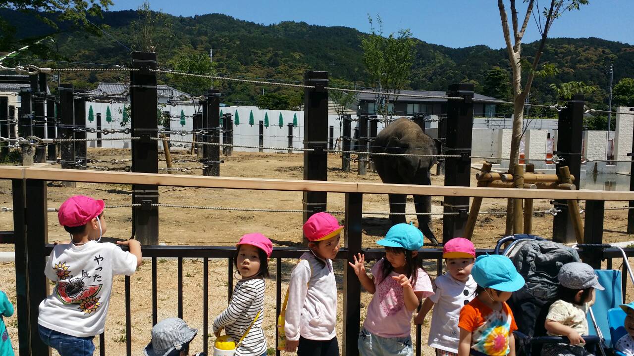 動物園遠足 キャッチ画像