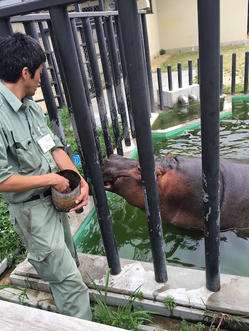 春の遠足動物園《祇園園》