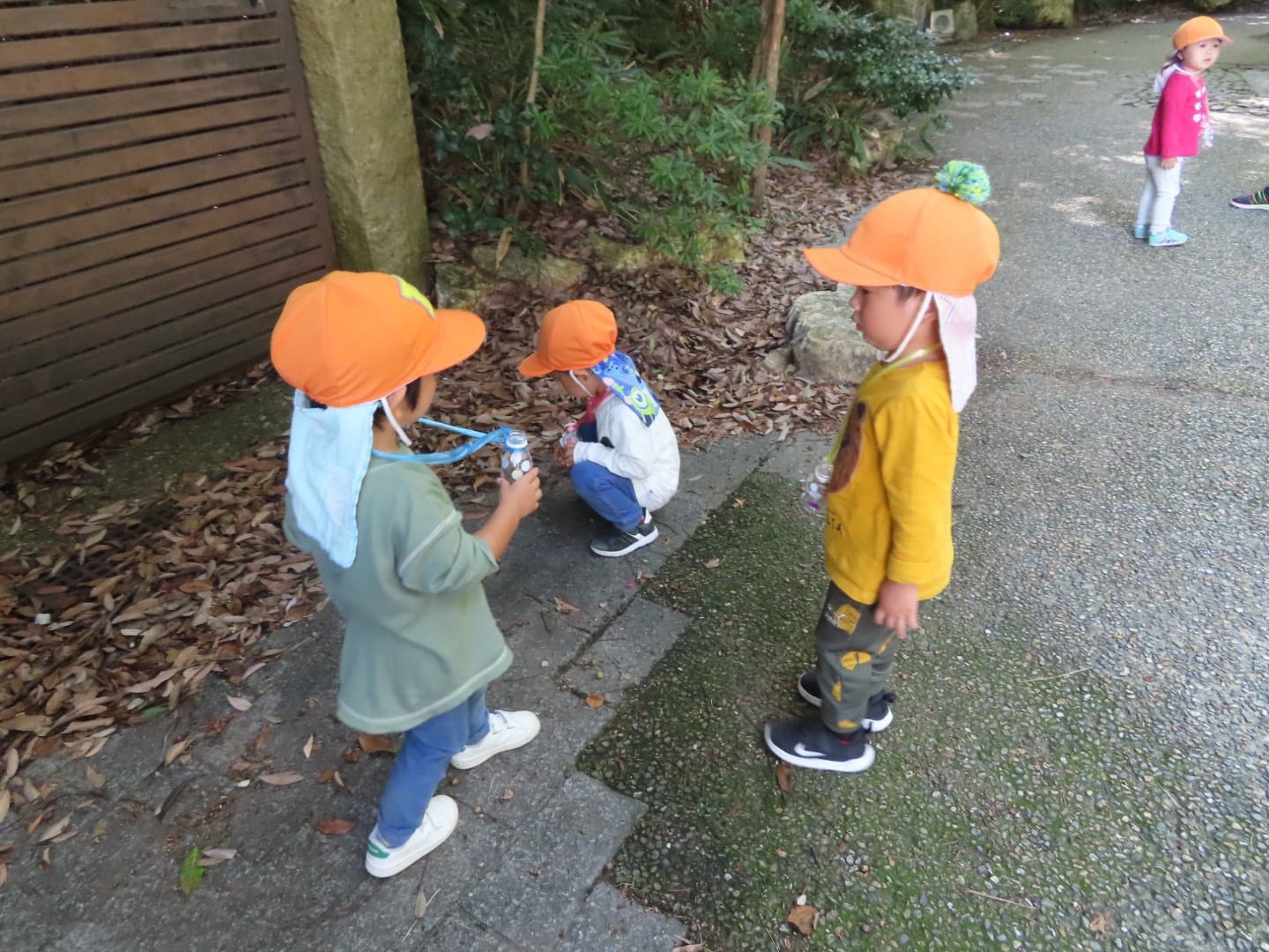 10月の様子⭐️&秋のお散歩🍁　西大路園