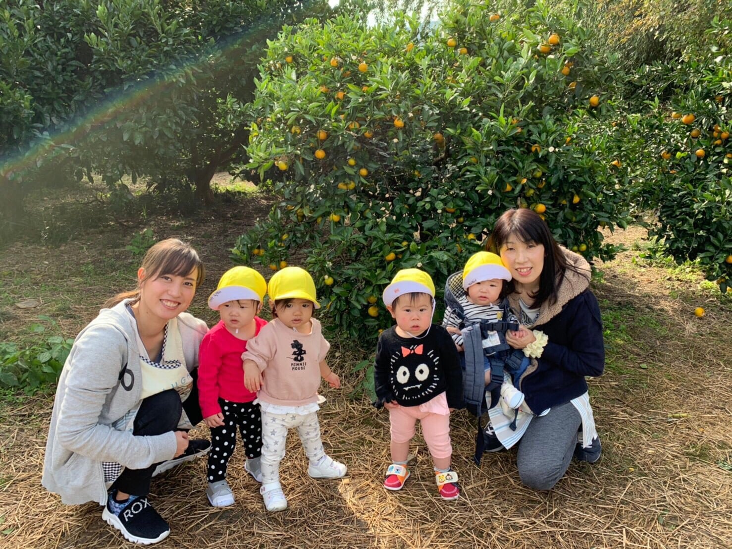 遠足〜みかん狩り🍊〜山科園