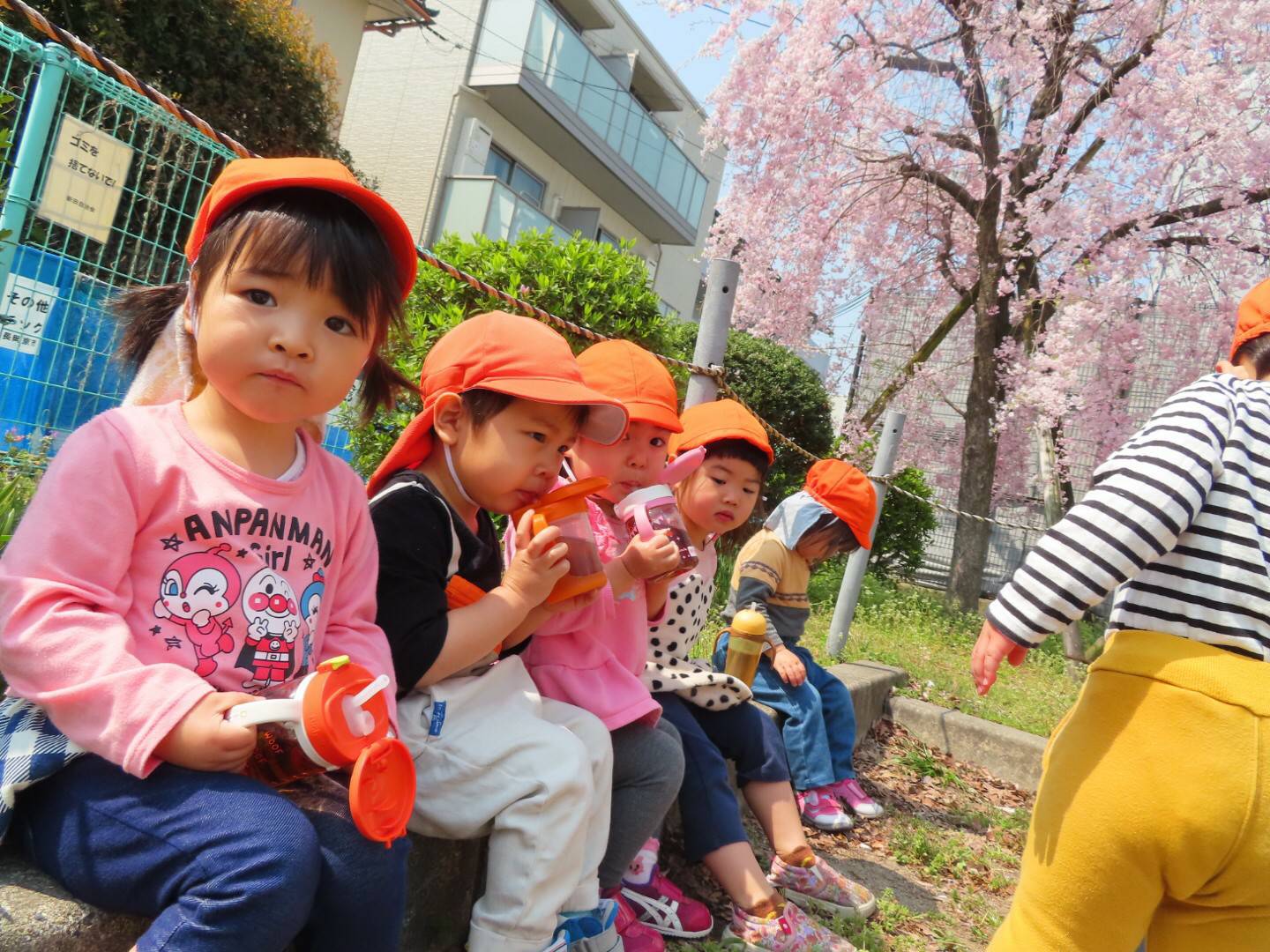 4月🌸元気な子どもたち☺️～長岡京園～