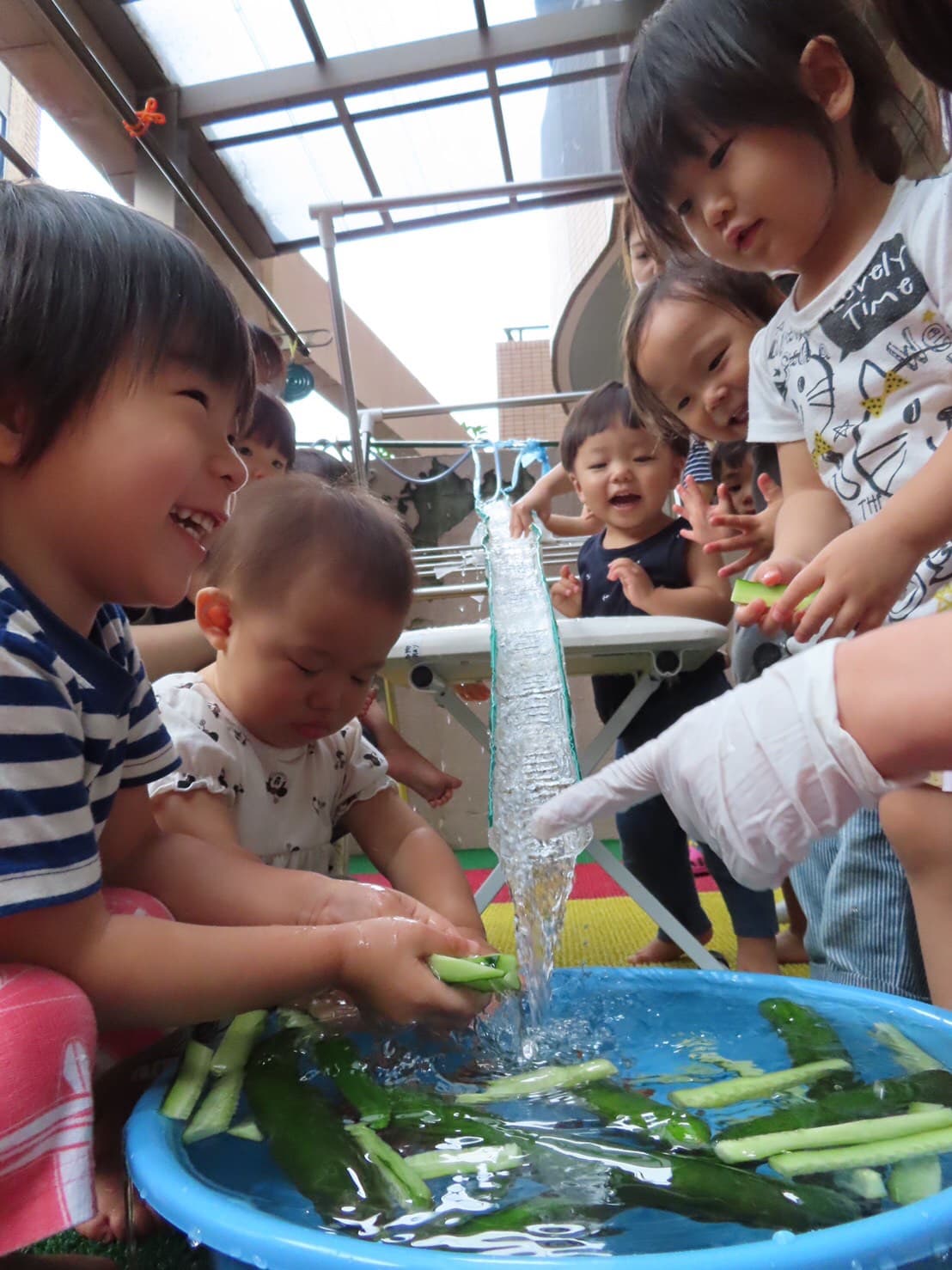 野菜流し🍅🥒&誕生日会🎉　山科園