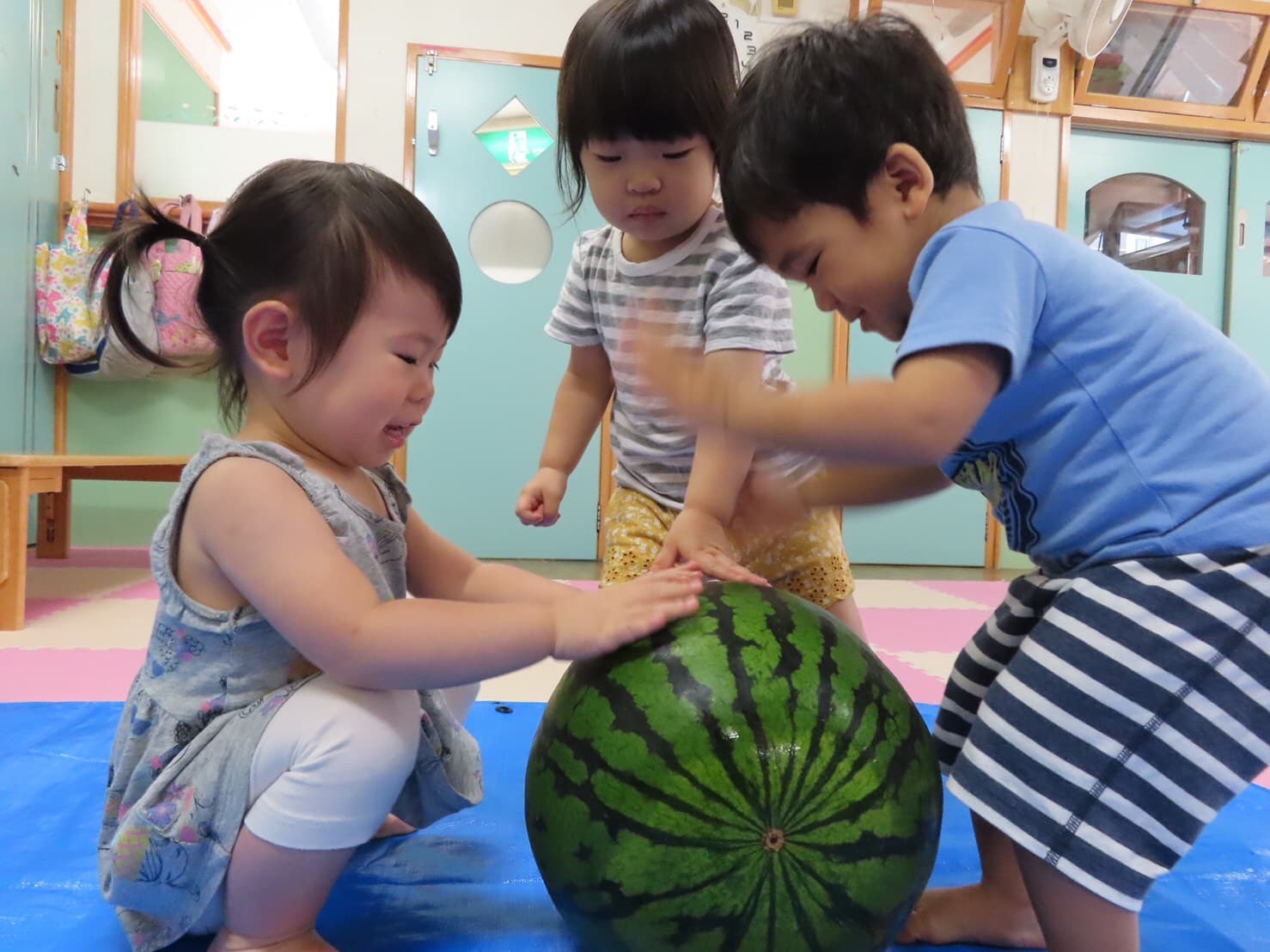 スイカ割り🍉＆プール遊び🐳　　山科園 キャッチ画像