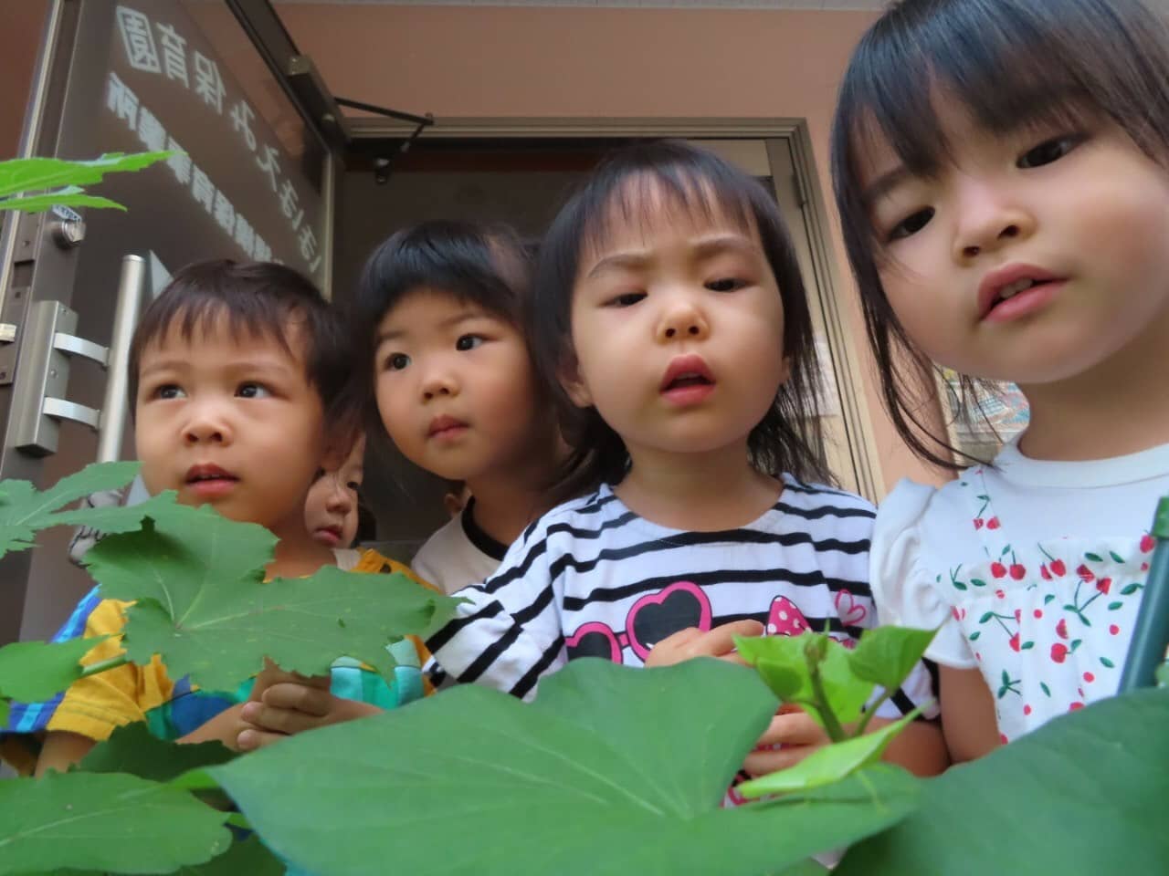 8月の日常🌺長岡京園