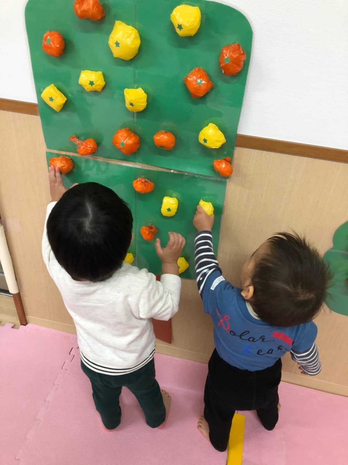 保護中: みかん狩りごっこ🍊長岡京園