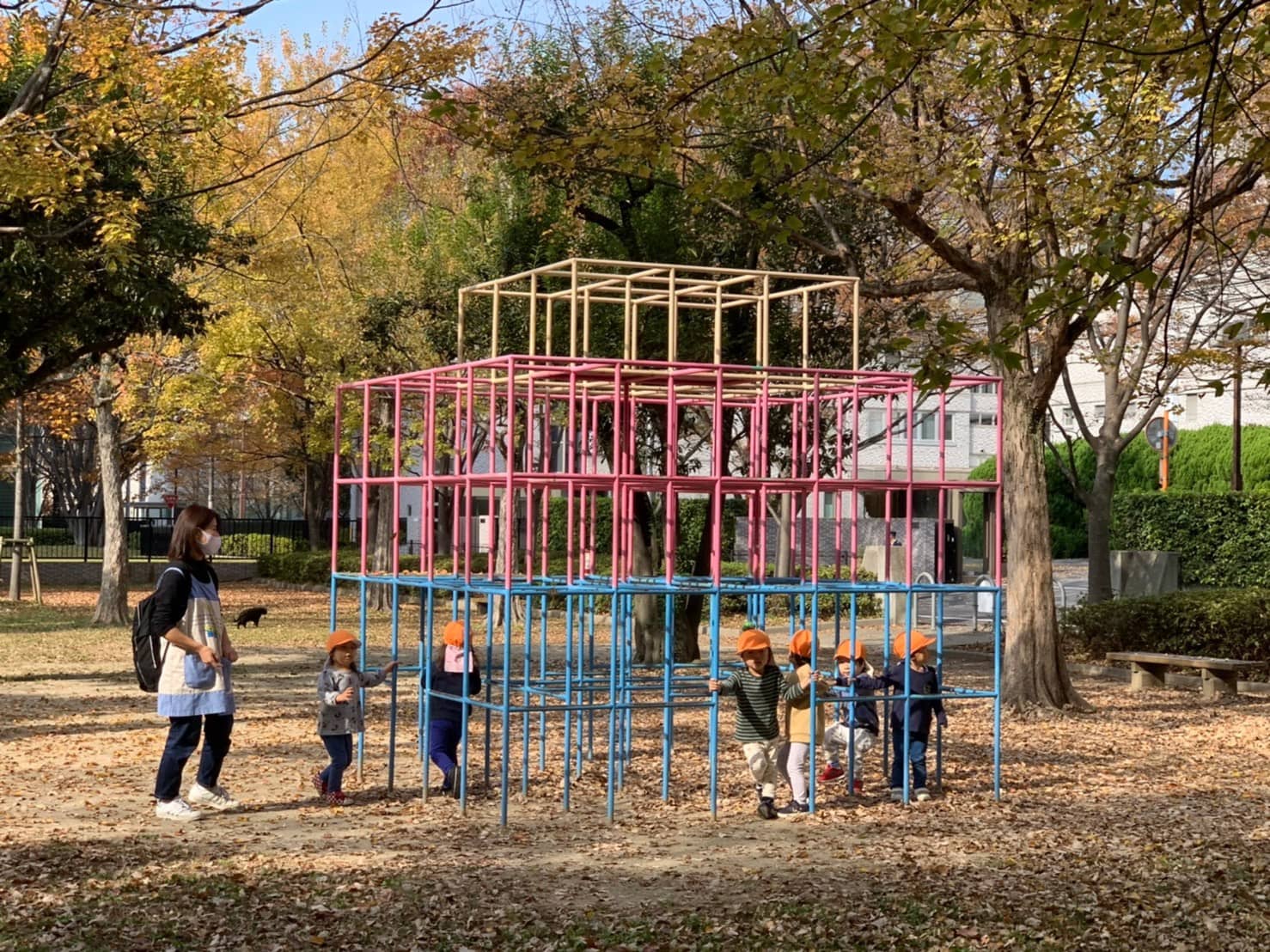 保護中: 11月の子ども達👶and食育🌟　西大路園