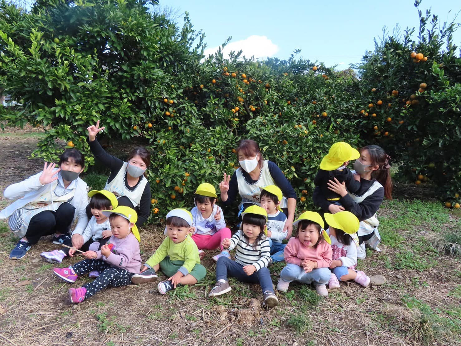 保護中: みかん狩り🍊山科園