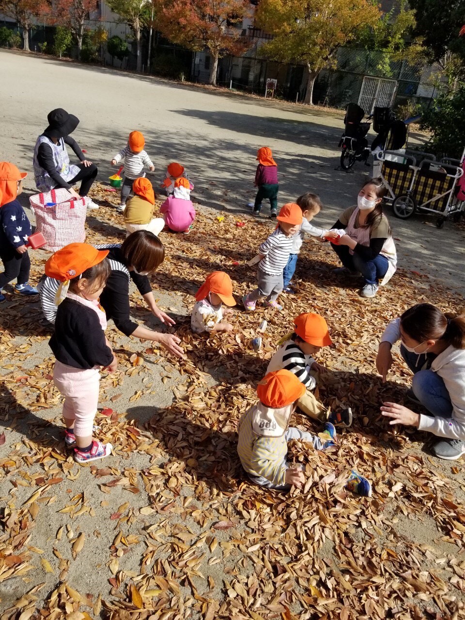 保護中: 11月🍂戸外遊び🍁〜長岡京園〜🍂 キャッチ画像