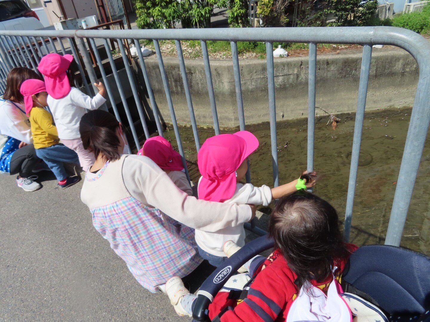 保護中: 🌸4月の様子&お誕生日会🎂 キャッチ画像