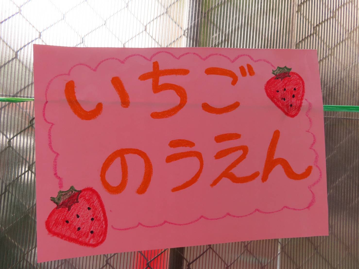 保護中: 5月　🍓いちご狩りごっこ🍓山科園