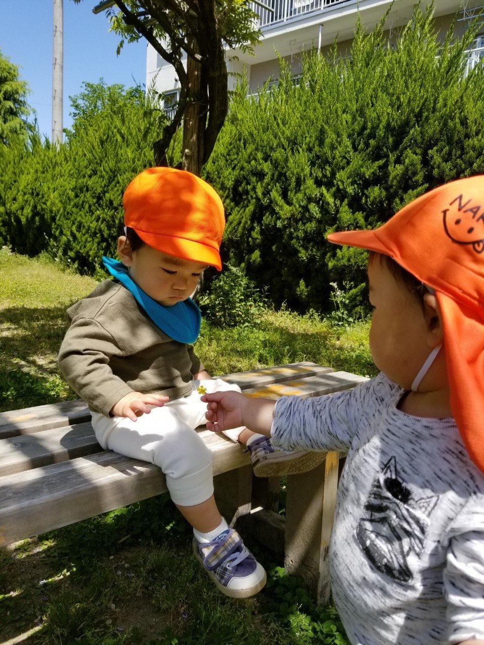 保護中: 5月☀️ぬたくり🎨戸外遊び  長岡京園 キャッチ画像