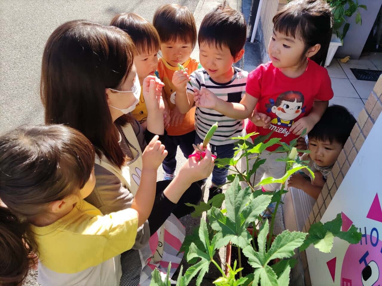 保護中: 🍀🍀食育🥕  竹田園