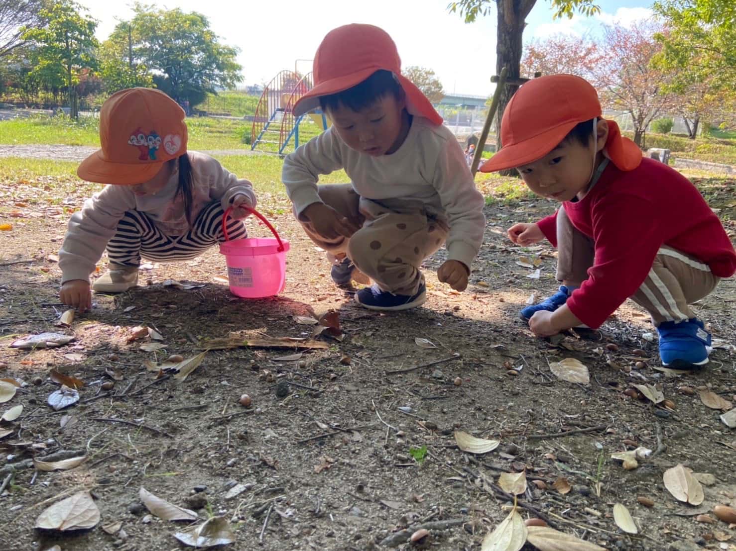 保護中: 秋の遠足🍁火打形公園🌰🌾西大路園