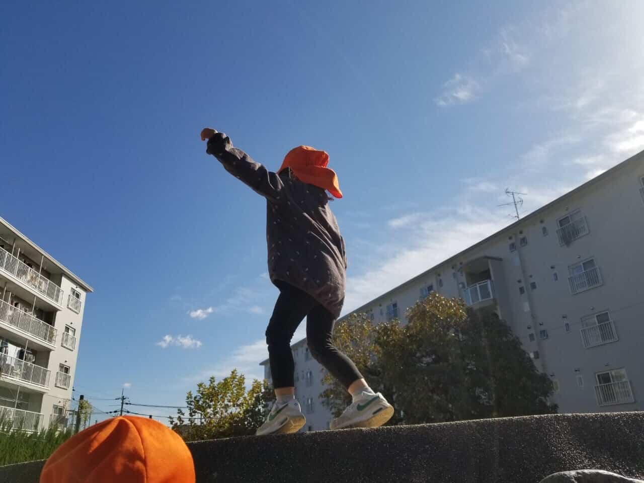 保護中: １１月の戸外遊び🍂長岡京園 キャッチ画像