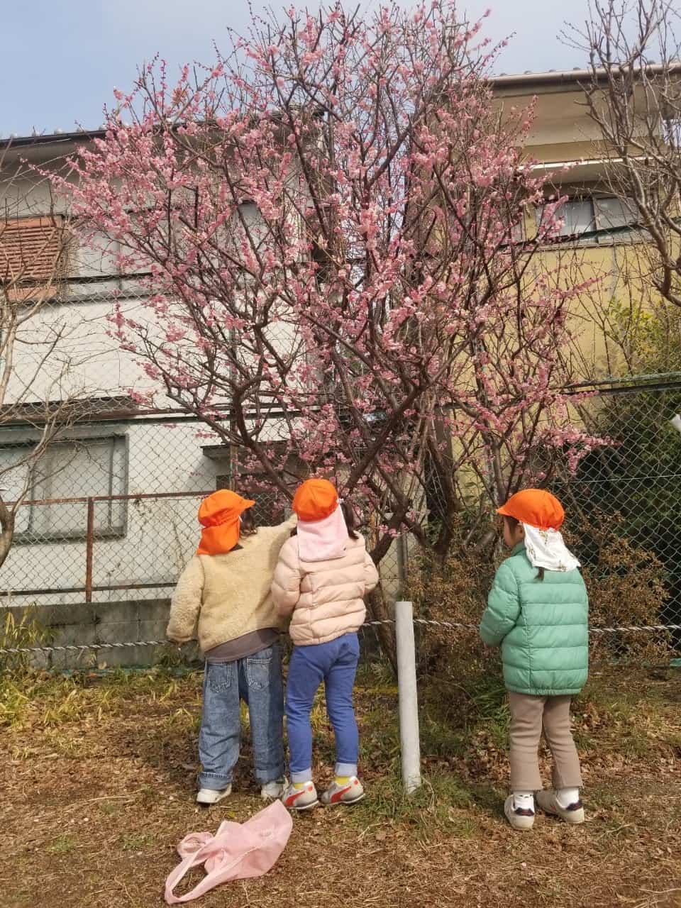 保護中: 3月🌸戸外あそび・室内あそび 長岡京園 キャッチ画像