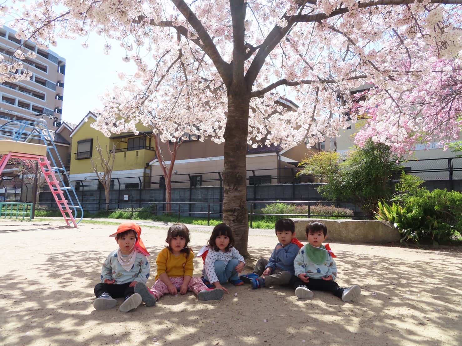 保護中: 🎂4月の日常の様子・お誕生日会🌸〜西大路園〜 キャッチ画像