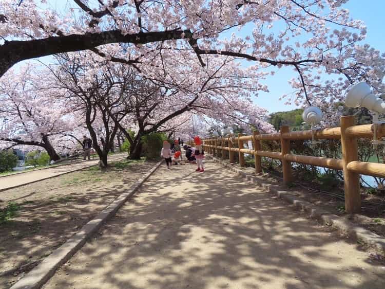 4月長岡京園