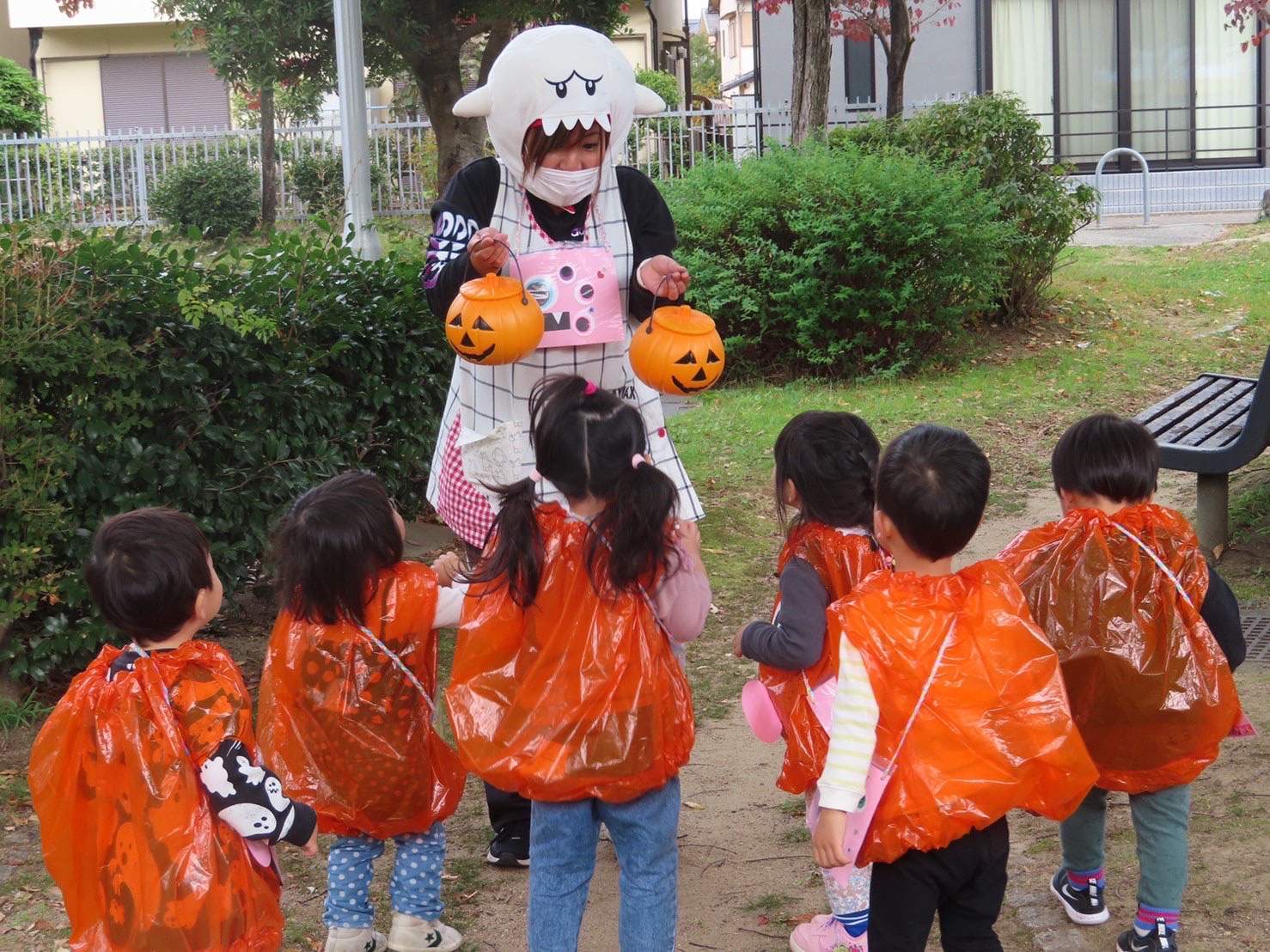 京都小規模保育事業所 ほほえみ保育園　久我園🍁 キャッチ画像