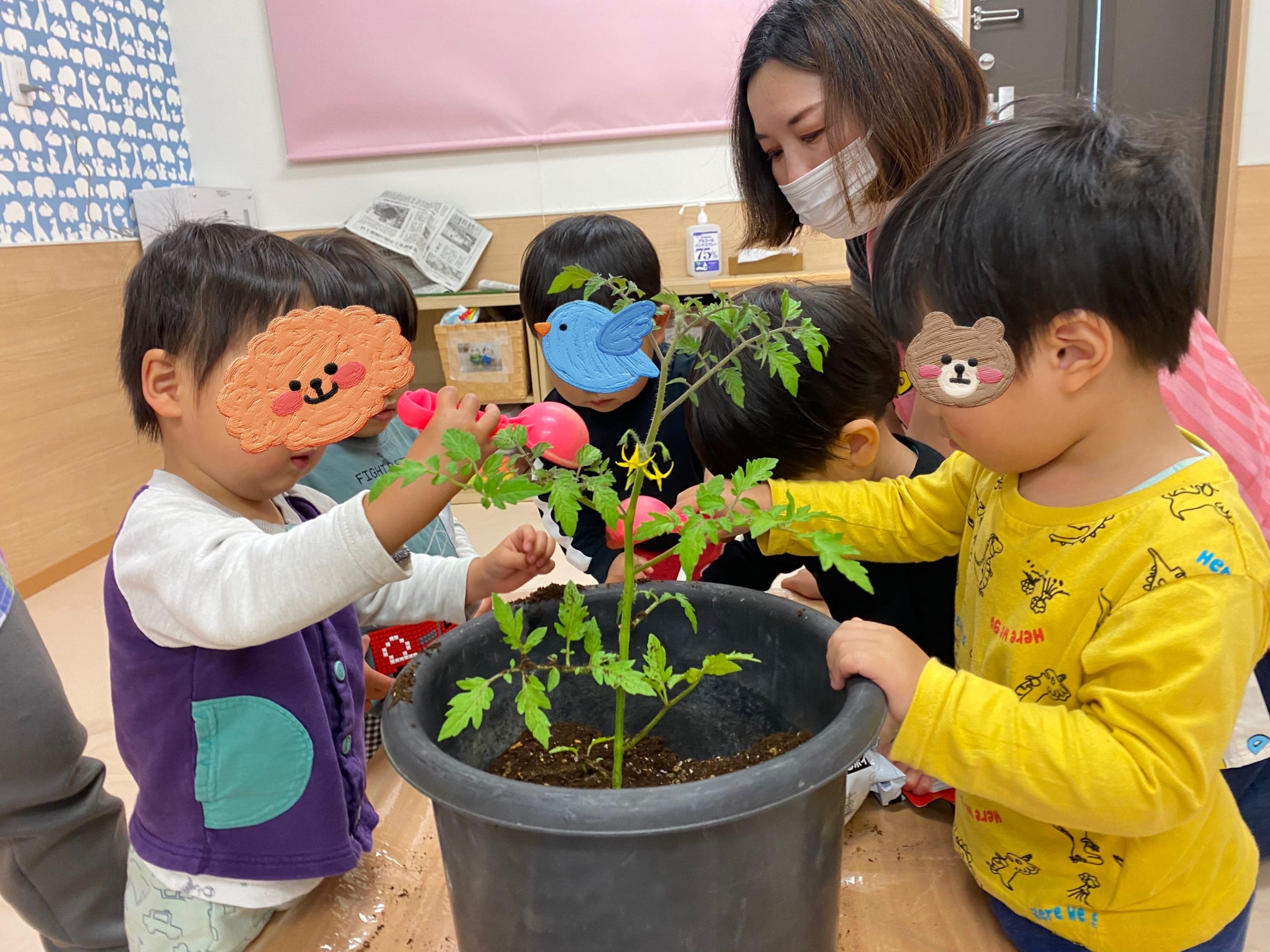 京都小規模保育事業所　ほほえみ保育園京田辺園 キャッチ画像