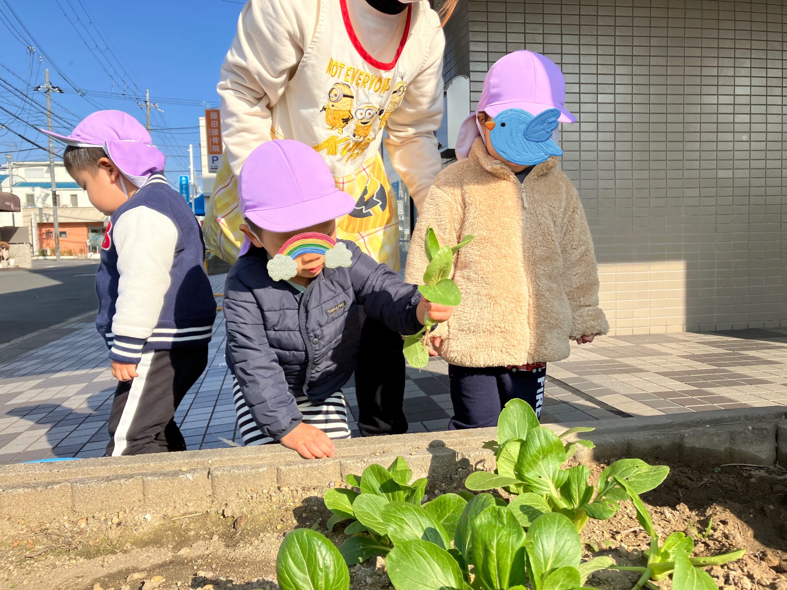 京都小規模保育事業所 ほほえみ保育園京田辺園 キャッチ画像