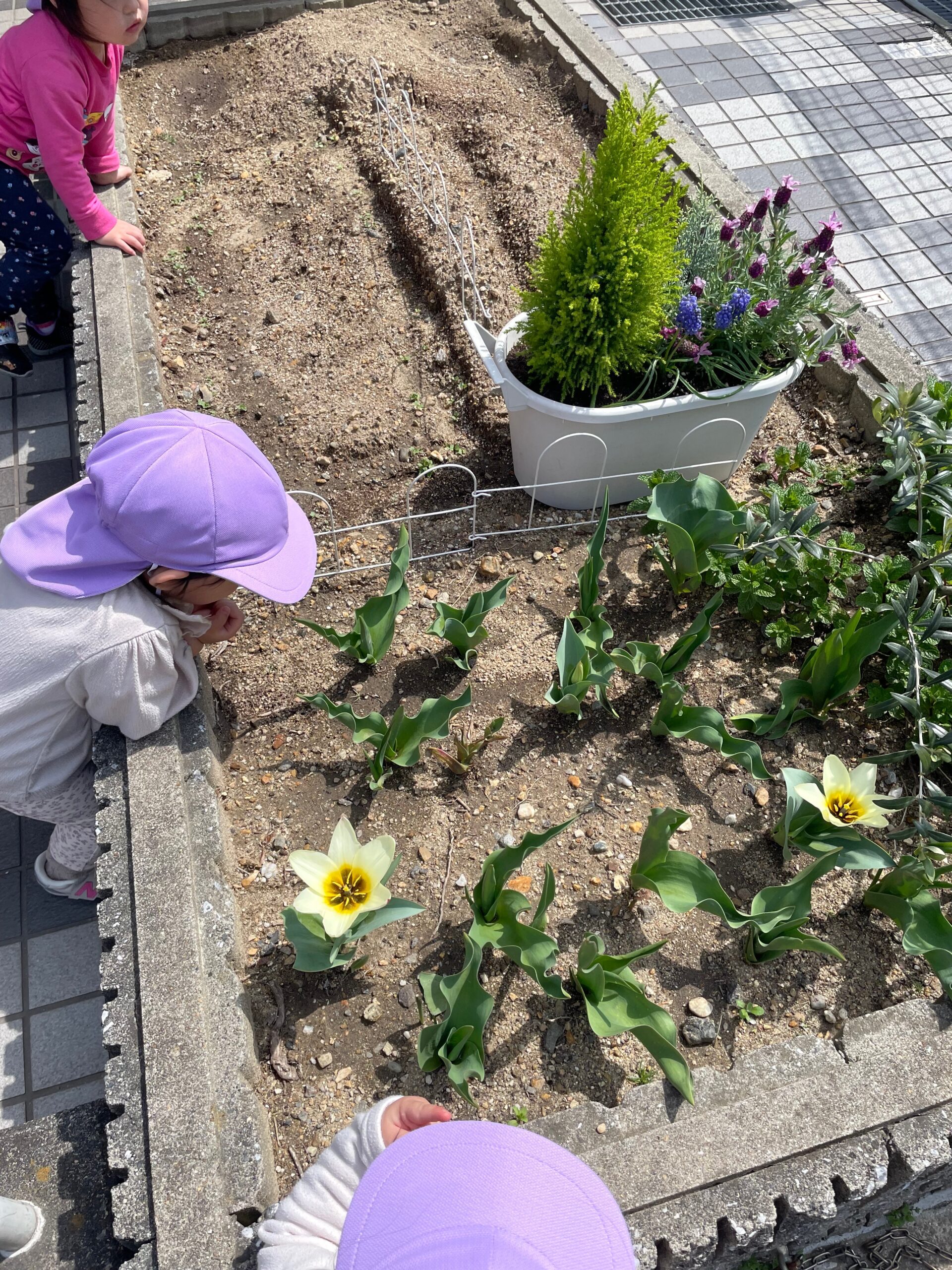 京都小規模保育事業所 ほほえみ保育園京田辺園 キャッチ画像