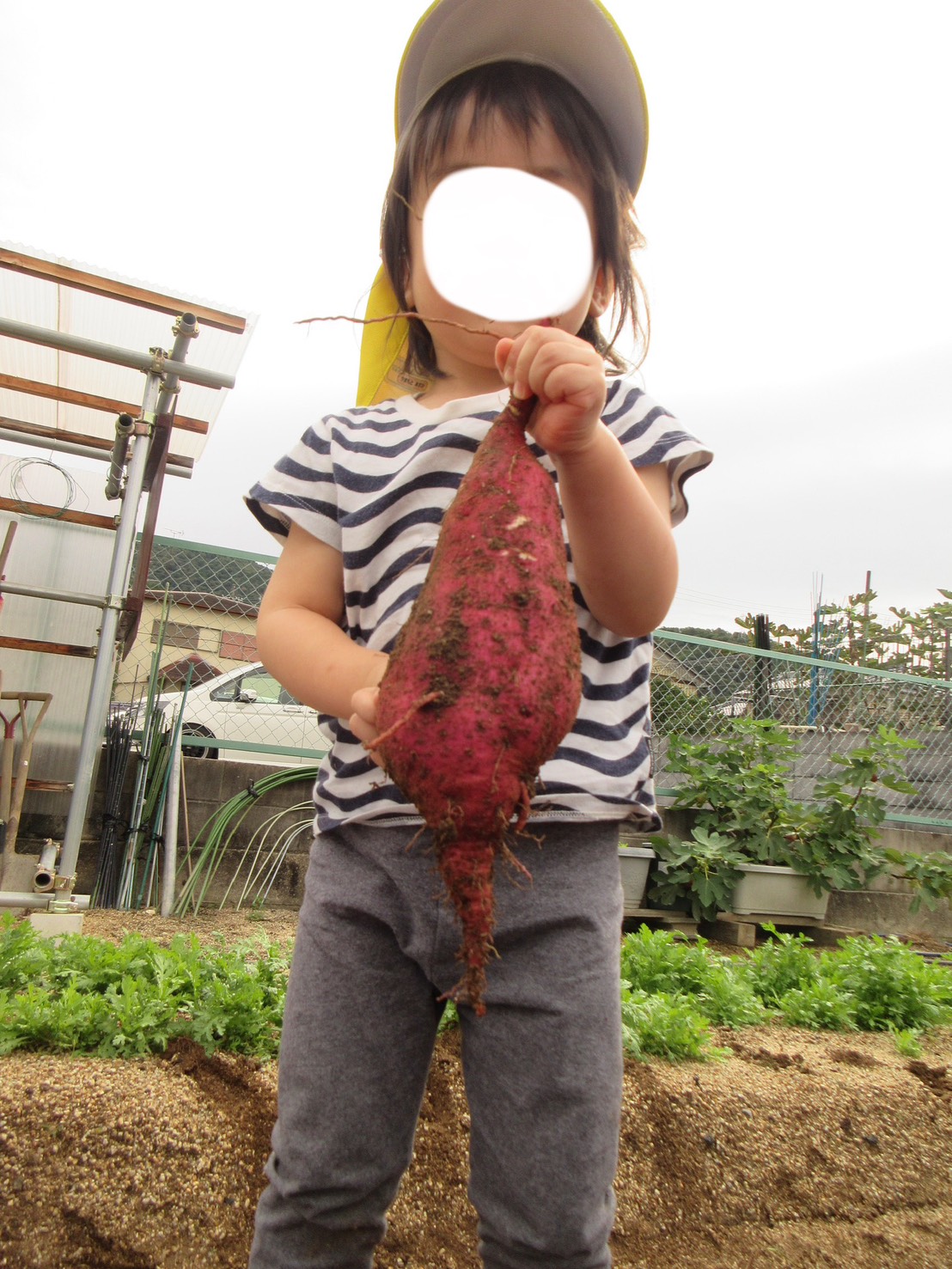 京都小規模保育事業所 ほほえみ保育園 山科園