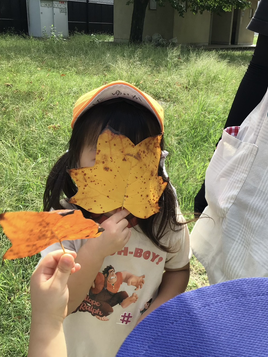 京都小規模保育事業所 ほほえみ保育園 西大路園