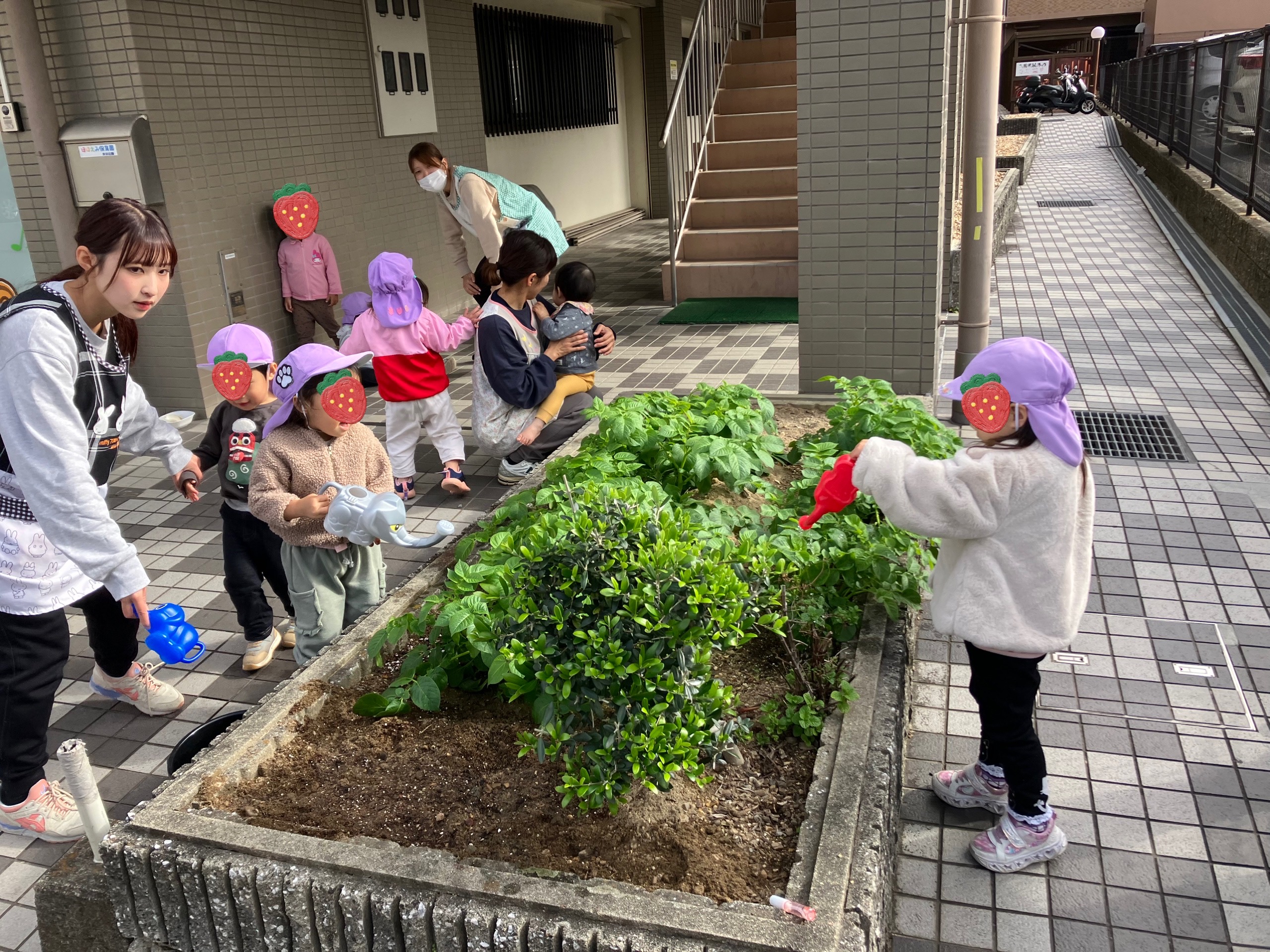 京都小規模保育事業所 ほほえみ保育園 京田辺園