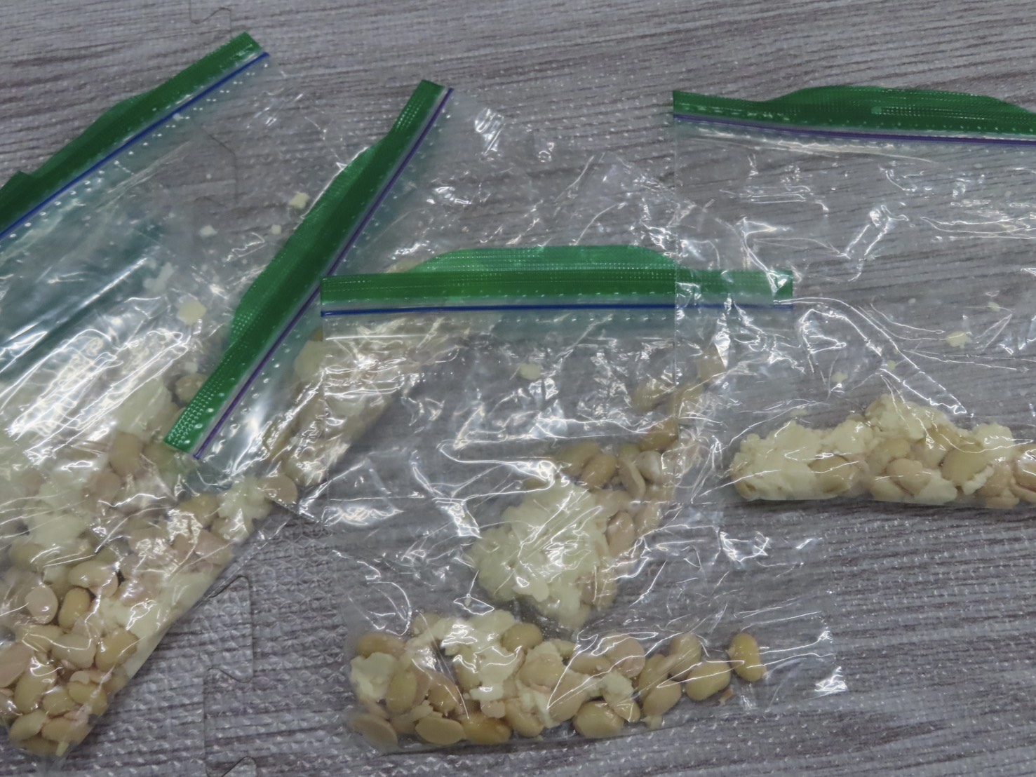 京都小規模保育事業所 ほほえみ保育園 久我園