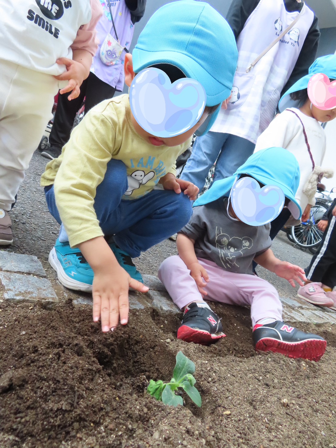 京都小規模保育事業所 ほほえみ保育園 久我園