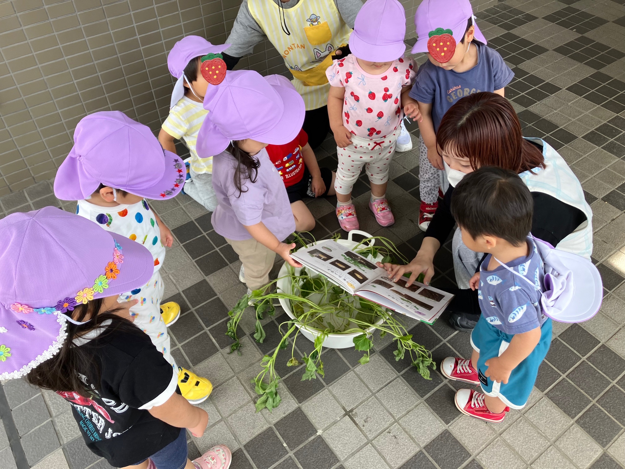京都小規模保育事業所 ほほえみ保育園 京田辺園